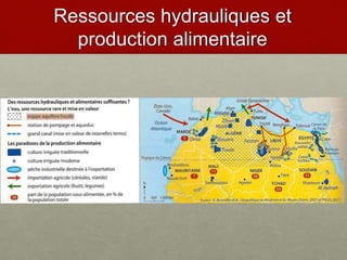 Ressources hydrauliques et
production alimentaire
 