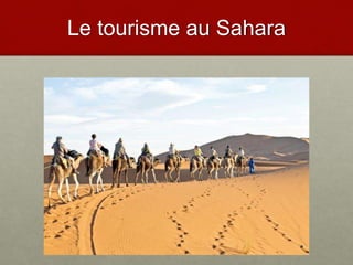 Le tourisme au Sahara
 