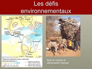 Les défis
environnementaux
Bois de cuisson et
déforestation (Kenya)
 