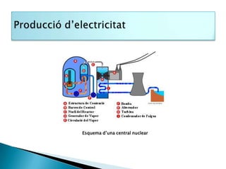 Esquema d’una central nuclear
 