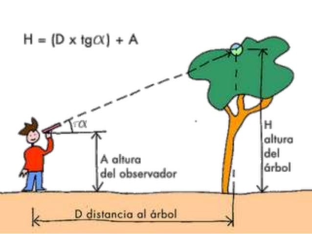 La fisica y sus aplicaciones en la vida