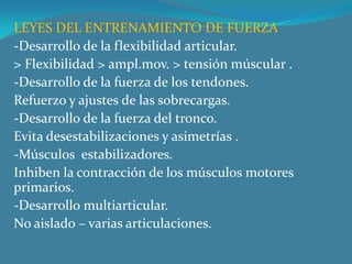 LEYES DEL ENTRENAMIENTO DE FUERZA-Desarrollo de la flexibilidad articular.> Flexibilidad > ampl.mov. > tensión múscular .-Desarrollo de la fuerza de los tendones.Refuerzo y ajustes de las sobrecargas.-Desarrollo de la fuerza del tronco.Evita desestabilizaciones y asimetrías .-Músculos  estabilizadores.Inhiben la contracción de los músculos motores primarios.-Desarrollo multiarticular.  No aislado – varias articulaciones. 