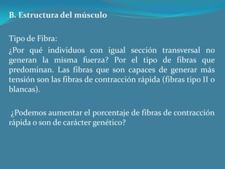 B. Estructura del músculo Tipo de Fibra:¿Por qué individuos con igual sección transversal no generan la misma fuerza? Por el tipo de fibras que predominan. Las fibras que son capaces de generar más tensión son las fibras de contracción rápida (fibras tipo II o blancas).   ¿Podemos aumentar el porcentaje de fibras de contracción rápida o son de carácter genético?