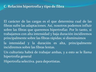 C. Relación hipertrofia y tipo de fibra  El carácter de las cargas es el que determina cual de las fibras sufre las adaptaciones. Así, nosotros podemos influir sobre las fibras que queremos hipertrofiar. Por lo tanto, si trabajamos con alta intensidad y baja duración incidiremos principalmente sobre las fibras rápidas; si disminuimosla intensidad y la duración es alta, principalmente incidiremos sobre las fibras lentas.Un culturista habrá de trabajar ambas, y a esto se le llama hipertrofia generalHipertrofia selectiva. para deportistas. 