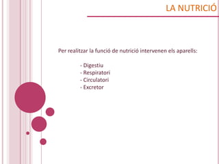 LA NUTRICIÓ



Per realitzar la funció de nutrició intervenen els aparells:

         - Digestiu
         - Respiratori
         - Circulatori
         - Excretor
 