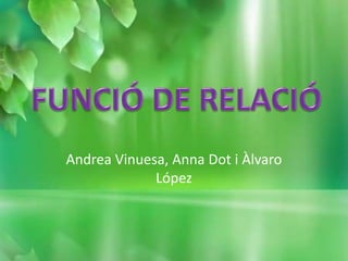 Andrea Vinuesa, Anna Dot i Àlvaro
López
 