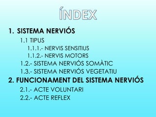 1. SISTEMA NERVIÓS
1.1 TIPUS
1.1.1.- NERVIS SENSITIUS
1.1.2.- NERVIS MOTORS
1.2.- SISTEMA NERVIÓS SOMÀTIC
1.3.- SISTEMA NERVIÓS VEGETATIU
2. FUNCIONAMENT DEL SISTEMA NERVIÓS
2.1.- ACTE VOLUNTARI
2.2.- ACTE REFLEX
 