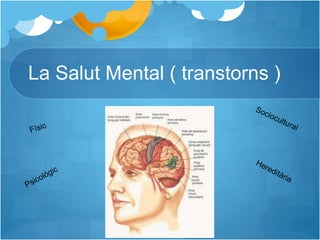 La Salut Mental ( transtorns )
 