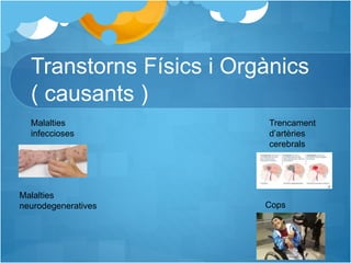 Transtorns Físics i Orgànics
( causants )
Malalties
infeccioses
Trencament
d’artèries
cerebrals
Cops
Malalties
neurodegeneratives
 