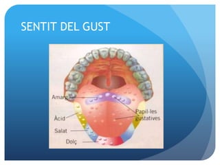 SENTIT DEL GUST
 