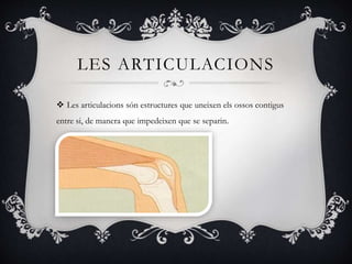 LES ARTICULACIONS
 Les articulacions són estructures que uneixen els ossos contigus
entre si, de manera que impedeixen que se separin.
 