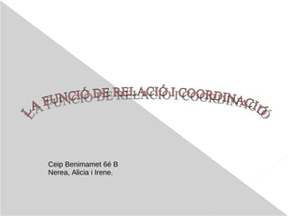 Ceip Benimamet 6é B Nerea, Alicia i Irene.  ,[object Object],LA FUNCIÓ DE RELACIÓ I COORDINACIÓ 