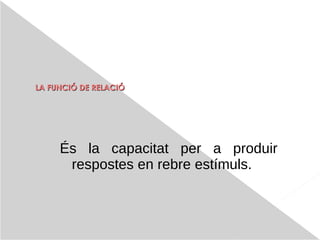 LA FUNCIÓ DE   RELACIÓ És  la  capacitat   per  a  produir   respostes  en  rebre   estímuls. 