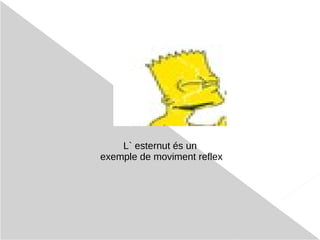 La neurona rep informació d’altres neurones a través de les dendrites i la transmeten a altes cèl·lules a través de l’àxon. LES NEURONES 