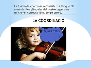 EL  SISTEMA NERVIÓS CENTRAL El sistema nerviós central està format pels centres nerviosos. Consta de dues parts: l’encèfal i la medul·la espinal. 