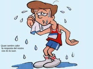 Quan sentim calor la resposta del nostre cos és la suor. 