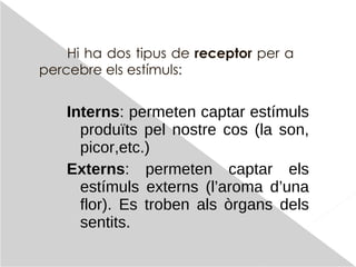 Hi  ha dos  tipus  de  receptor   per  a  percebre   els   estímuls : Interns :  permeten  captar  estímuls   produïts   pel   nostre   cos  (la son, picor,etc.) Externs :  permeten  captar  els   estímuls   externs  ( l’aroma   d’una  flor). Es  troben   als   òrgans   dels   sentits. 