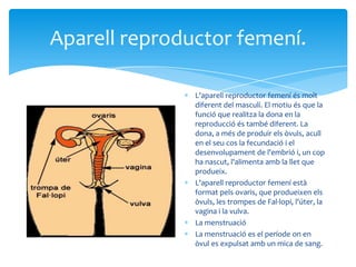 Aparell reproductor femení.

               L'aparell reproductor femení és molt
               diferent del masculí. El m...