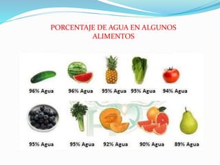 PORCENTAJE DE AGUA EN ALGUNOS
ALIMENTOS
 