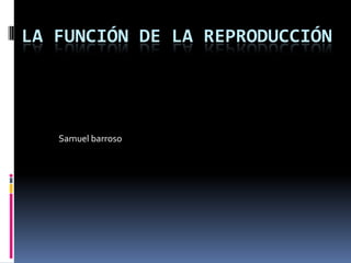 LA FUNCIÓN DE LA REPRODUCCIÓN




   Samuel barroso
 