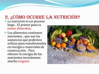 2. ¿CÓMO OCURRE LA NUTRICIÓN?
 La nutrición es un proceso
  largo . El primer paso es
  tomar alimentos.
 Los alimentos contienen
  nutrientes , que son las
  sustancias que podemos
  utilizar para transformarlas
  en energía o materiales de
  construcción . Para
  obtener la energía de los
  nutrientes necesitamos
  mucho oxigeno.
 