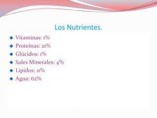 Los Nutrientes.
Vitaminas: 1%
Proteínas: 21%
Glúcidos: 1%
Sales Minerales: 4%
Lípidos: 11%
Agua: 62%
 
