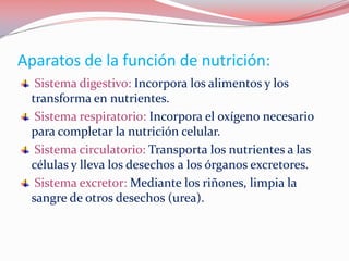 Aparatos de la función de nutrición:
Sistema digestivo: Incorpora los alimentos y los
transforma en nutrientes.
Sistema respiratorio: Incorpora el oxígeno necesario
para completar la nutrición celular.
Sistema circulatorio: Transporta los nutrientes a las
células y lleva los desechos a los órganos excretores.
Sistema excretor: Mediante los riñones, limpia la
sangre de otros desechos (urea).
 
