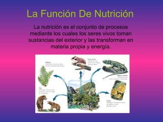 La Función De Nutrición
  La nutrición es el conjunto de procesos
 mediante los cuales los seres vivos toman
sustancias del exterior y las transforman en
         materia propia y energía.
 