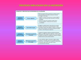 PROCESOS IMPLICADOS EN LA NUTRICIÓN