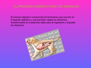EL PROCESO DIGESTIVO EN LOS ANIMALES


El proceso digestivo comprende los fenómenos que ocurren en
el aparato digestivo y que permiten captar los alimentos,
transformarlos en sustancias útiles para el organismo y expulsar
los desechos.
 