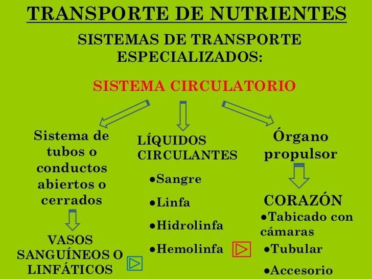TRANSPORTE DE NUTRIENTES      SISTEMAS DE TRANSPORTE          ESPECIALIZADOS:        SISTEMA CIRCULATORIO Sistema de    LÍ...