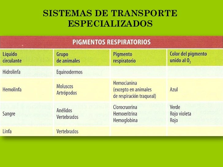 SISTEMAS DE TRANSPORTE    ESPECIALIZADOS 
