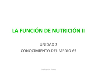 LA FUNCIÓN DE NUTRICIÓN II
UNIDAD 2
CONOCIMIENTO DEL MEDIO 6º
Ana Quevedo Montes
 