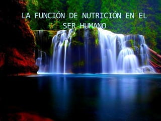 LA FUNCIÓN DE NUTRICIÓN EN EL
SER HUMANO
 