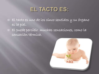  El tacto es uno de los cinco sentidos y su órgano
es la piel.
 El puede percibir muchas sensaciones, como la
sensación térmica.
 