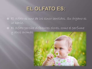  El olfato es uno de los cinco sentidos. Su órgano es
la nariz.
 El olfato percibe diferentes olores, como el perfume
y otros aromas
 