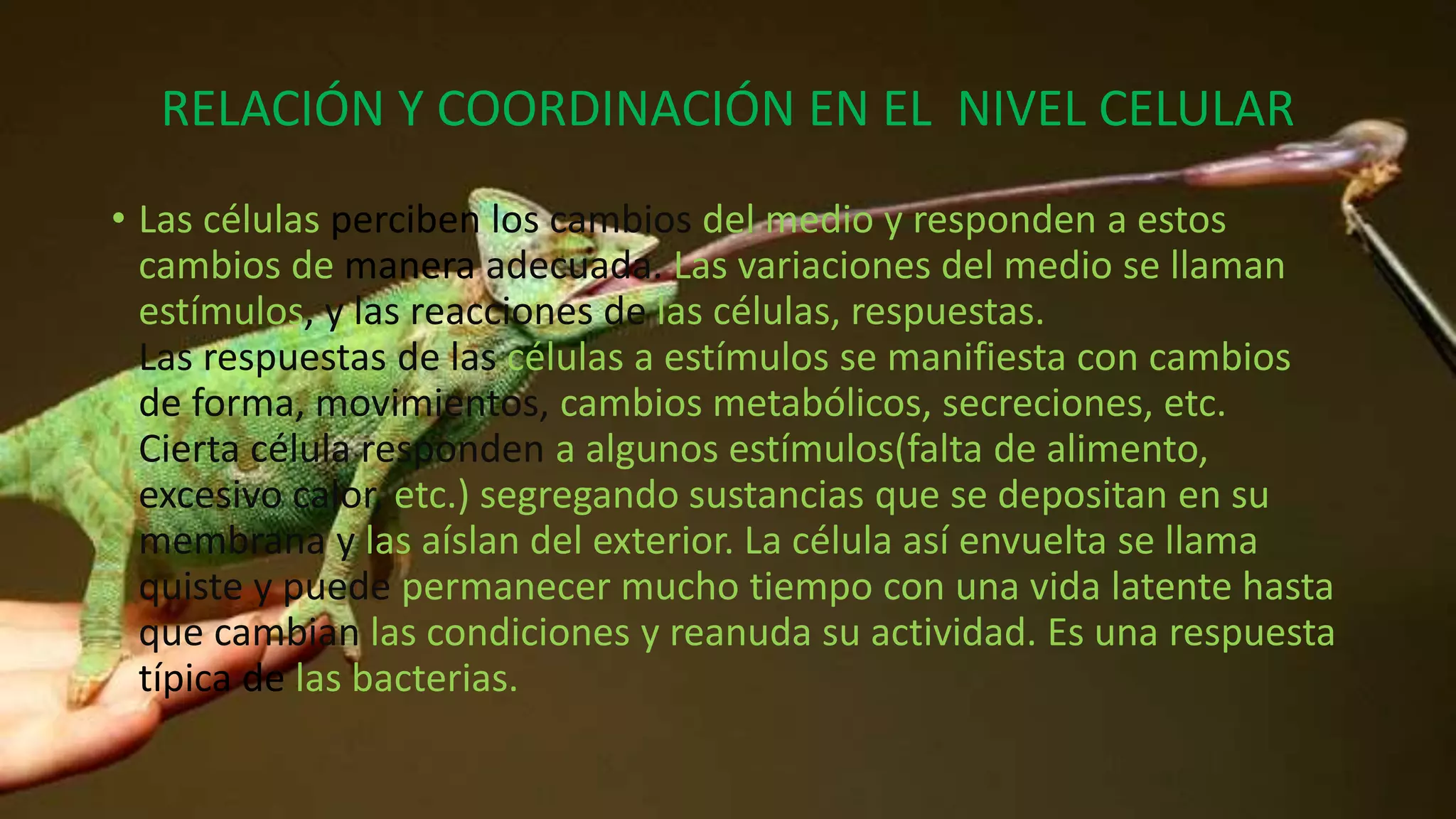 La función de relación | PPTX