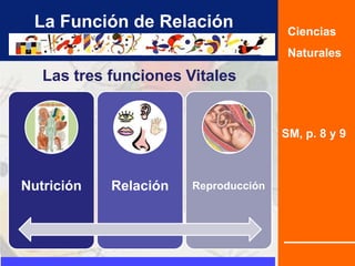 La Función de Relación
SM, p. 8 y 9
Ciencias
Naturales
Las tres funciones Vitales
Nutrición Relación Reproducción
 