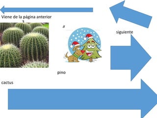 • Viene de la página anterior
3
3 4
siguiente
pino
cactus
 