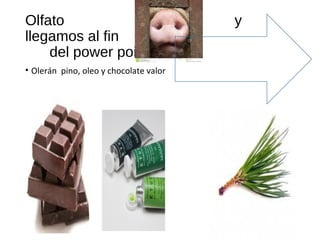 Olfato y
llegamos al fin
del power point
• Olerán pino, oleo y chocolate valor
 