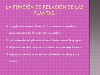    Las plantas crecen hacia la luz, pues la necesitan
    para realizar la función de nutrición.

   Las raíces de las plantas crecen hacia donde hay agua.

   Algunas plantas cierran sus hojas cuando algo las toca.

   Algunas plantas se enrollan alrededor de otras para
    crecer.
 