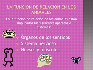 En la función de relación de los animales están
        implicados los siguientes aparatos o
                     sistemas:


         Órganos de los sentidos
         Sistema nervioso
         Huesos y músculos
 