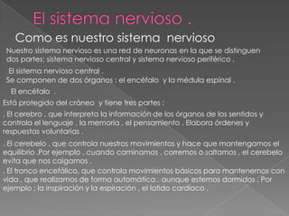 El sistema nervioso .Como es nuestro sistema  nerviosoNuestro sistema nervioso es una red de neuronas en la que se distinguen dos partes: sistema nervioso central y sistema nervioso periférico .El sistema nervioso central .Se componen de dos órganos : el encéfalo  y la médula espinal .El encéfalo  .Está protegido del cráneo  y tiene tres partes :. El cerebro , que interpreta la información de los órganos de los sentidos y controla el lenguaje , la memoria , el pensamiento . Elabora órdenes y respuestas voluntarias .. El cerebelo , que controla nuestros movimientos y hace que mantengamos el equilibrio .Por ejemplo , cuando caminamos , corremos o saltamos , el cerebelo evita que nos caigamos .. El tronco encefálico, que controla movimientos básicos para mantenernos con vida , que realizamos de forma automática , aunque estemos dormidos . Por ejemplo : la inspiración y la espiración , el latido cardíaco .
