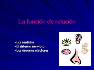 La función de relación -Los sentidos -El sistema nervioso -Los órganos efectores 
