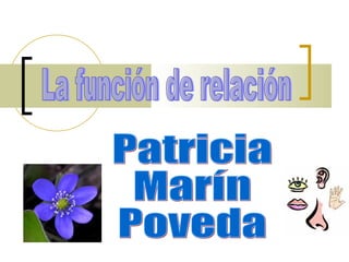 La función de relación Patricia Marín  Poveda 