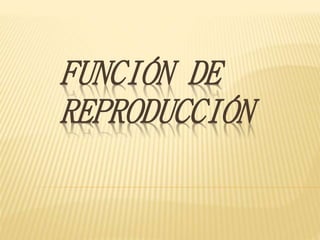 FUNCIÓN DE
REPRODUCCIÓN
 