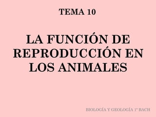 LA FUNCIÓN DE
REPRODUCCIÓN EN
LOS ANIMALES
TEMA 10
BIOLOGÍA Y GEOLOGÍA 1º BACH
 