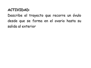 ACTIVIDAD:
Describe el trayecto que recorre un óvulo
desde que se forma en el ovario hasta su
salida al exterior
 