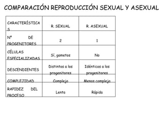 CARACTERÍSTICA
S
R. SEXUAL R. ASEXUAL
Nº DE
PROGENITORES
2 1
CÉLULAS
ESPECIALIZADAS
Sí, gametos No
DESCENDIENTES
Distintos a los
progenitores
Idénticos a los
progenitores
COMPLEJIDAD Compleja Menos compleja
RAPIDEZ DEL
PROCESO
Lenta Rápida
COMPARACIÓN REPRODUCCIÓN SEXUAL Y ASEXUAL
 