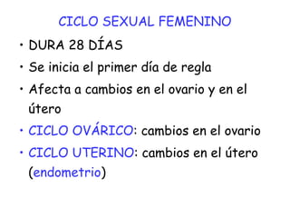 CICLO SEXUAL FEMENINO
• DURA 28 DÍAS
• Se inicia el primer día de regla
• Afecta a cambios en el ovario y en el
útero
• CICLO OVÁRICO: cambios en el ovario
• CICLO UTERINO: cambios en el útero
(endometrio)
 